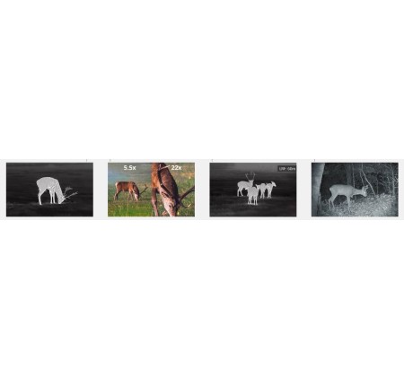 HIKMICRO BINOCOLO HABROK THERMAL HE25L 4K LENTE 25mm TORCIA 850