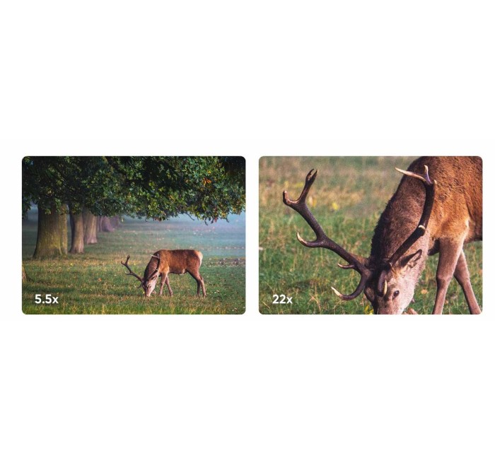 HIKMICRO BINOCOLO HABROK THERMAL HE25L 4K LENTE 25mm TORCIA 850