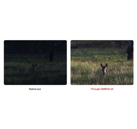 HIKMICRO BINOCOLO HABROK THERMAL HE25L 4K LENTE 25mm TORCIA 850