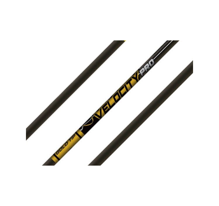 GOLD TIP ASTA VELOCITY PRO