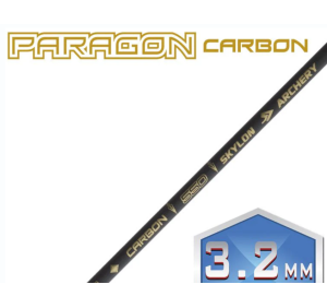 SKYLON ASTA PARAGON IN CARBONIO