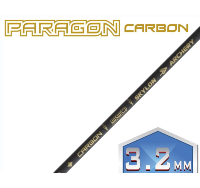 SKYLON ASTA PARAGON IN CARBONIO