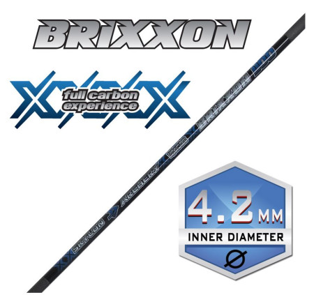 SKYLON ASTA IN CARBON BRIXXON