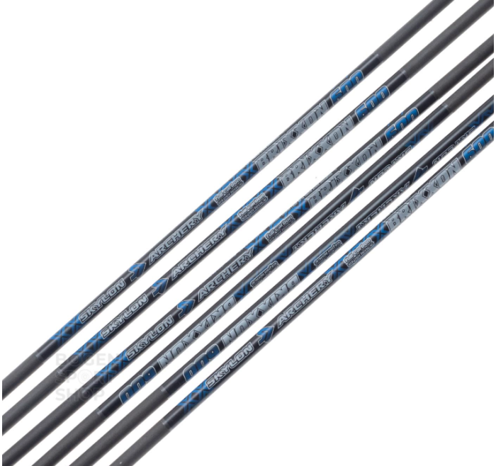 SKYLON ASTA IN CARBON BRIXXON