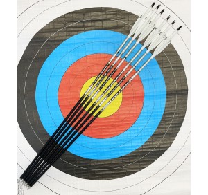 *USATO* EASTON FRECCE COMPLETE X23  2315 (6 pz.)