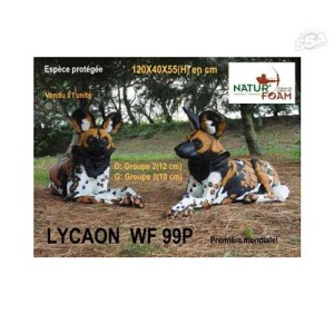 3-D NATURE FORM LICAONE