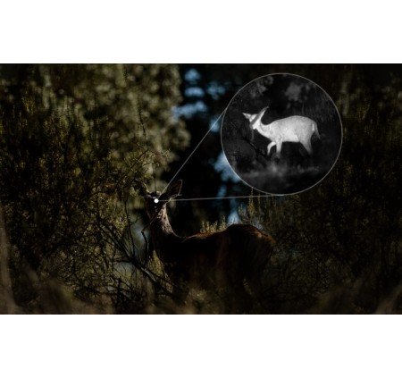 HIKMICRO BINOCOLO HABROK HE25L 2.0 TERMICO NOTTURNO DIGITALE