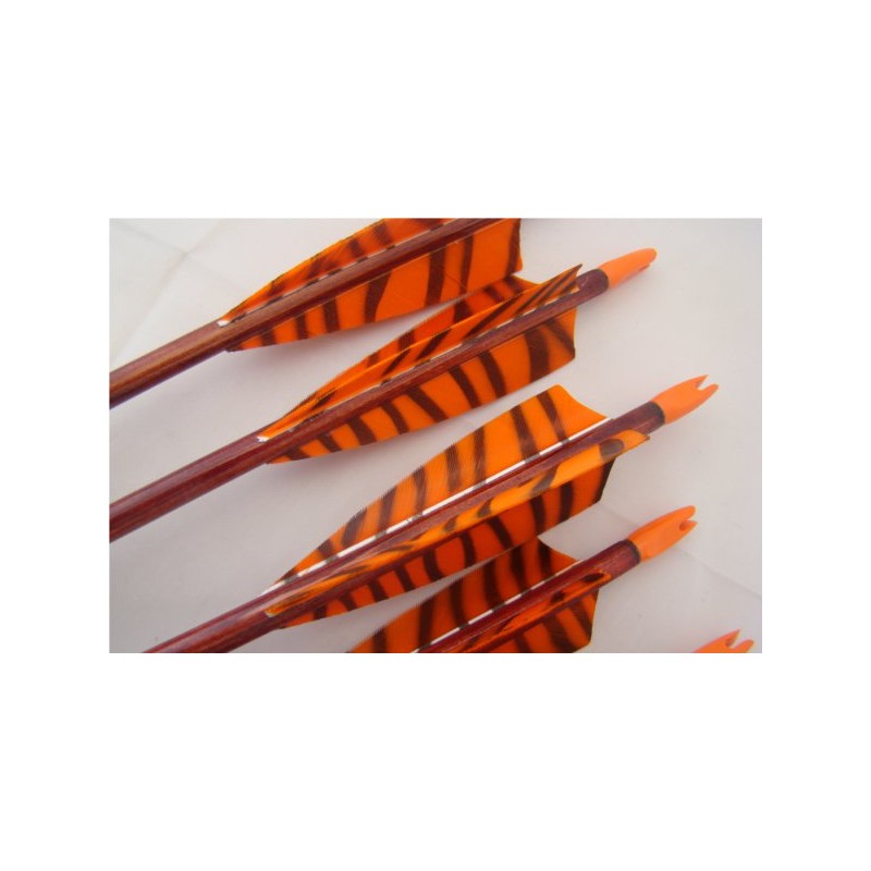 BEST ARCHERY FRECCIA CUSTOM TRADITIONAL STANDARD