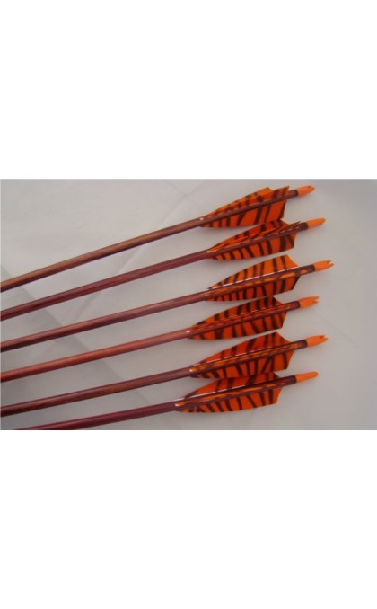 BEST ARCHERY FRECCIA CUSTOM TRADITIONAL STANDARD