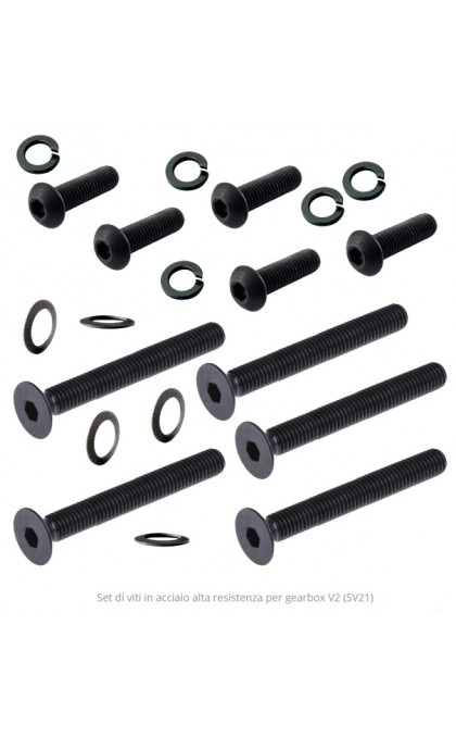 FPS SET DI VITI IN ACCIAIO PER GEARBOX V2