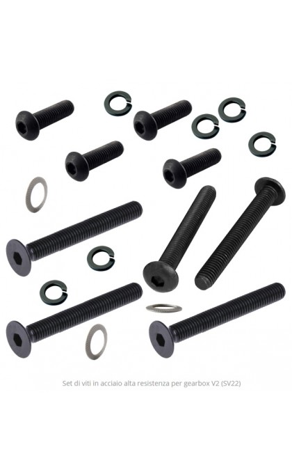 FPS SET DI VITI IN ACCIAIO PER GEARBOX V2