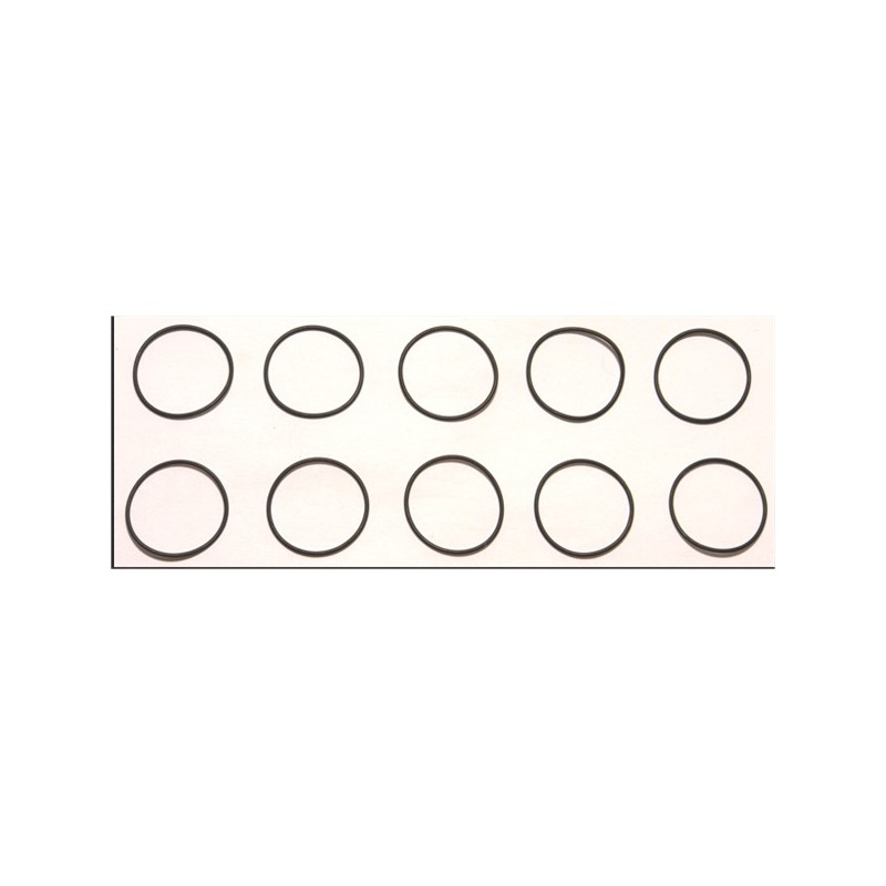CORALLY O-RINGS 20.5 X 1.0 MM (10)