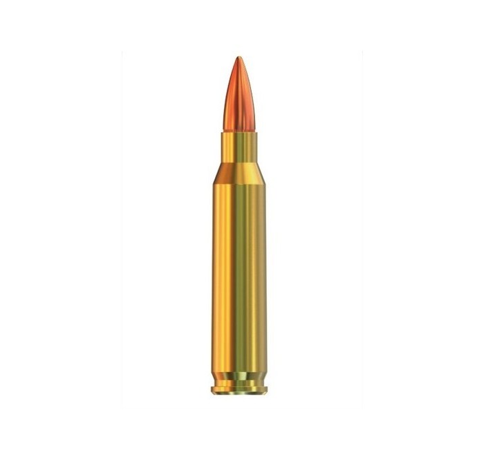 GGG CARTUCCE CAL. 223REM 55grs FMJ *Conf. da 50pz* 