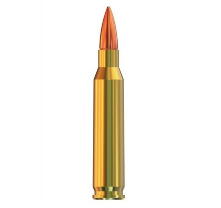 GGG CARTUCCE CAL. 223REM 55grs FMJ *Conf. da 50pz* 