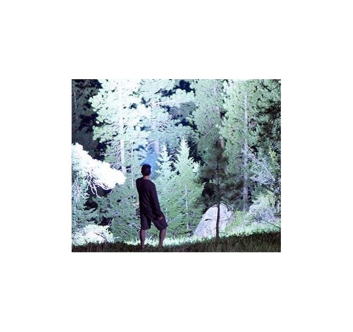 FENIX TORCIA LED COMPATTA LR35 10000 LUMEN