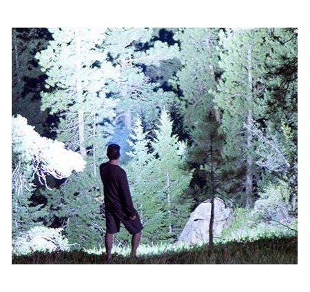 FENIX TORCIA LED COMPATTA LR35 10000 LUMEN