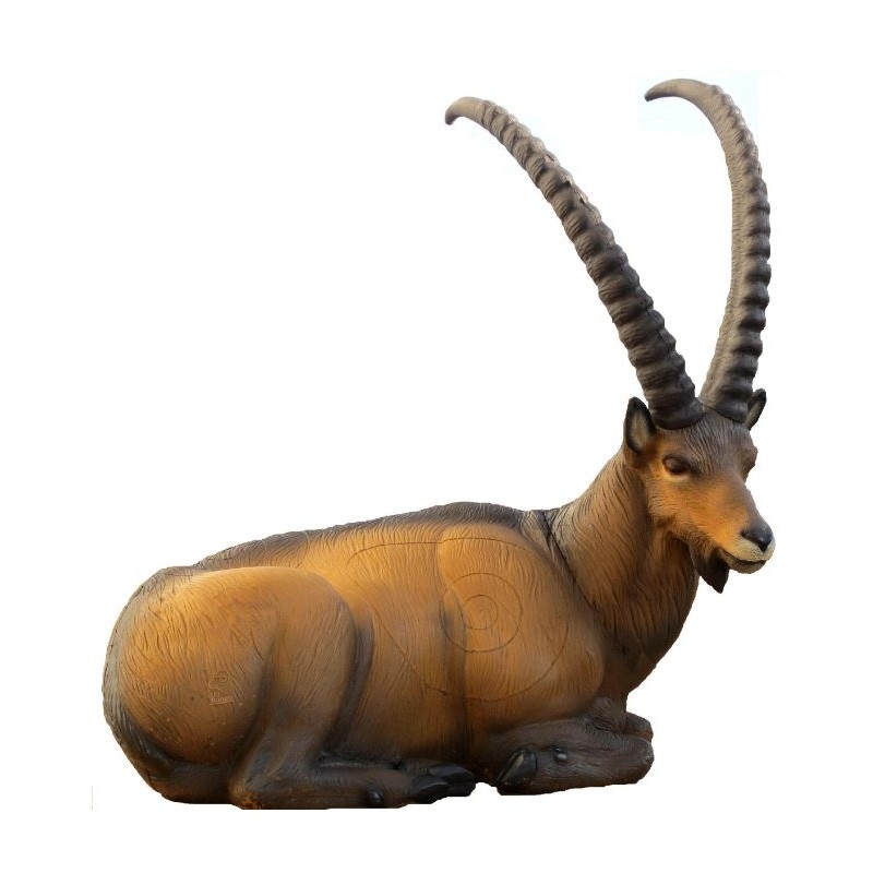 3-D SRT STAMBECCO SDRAIATO