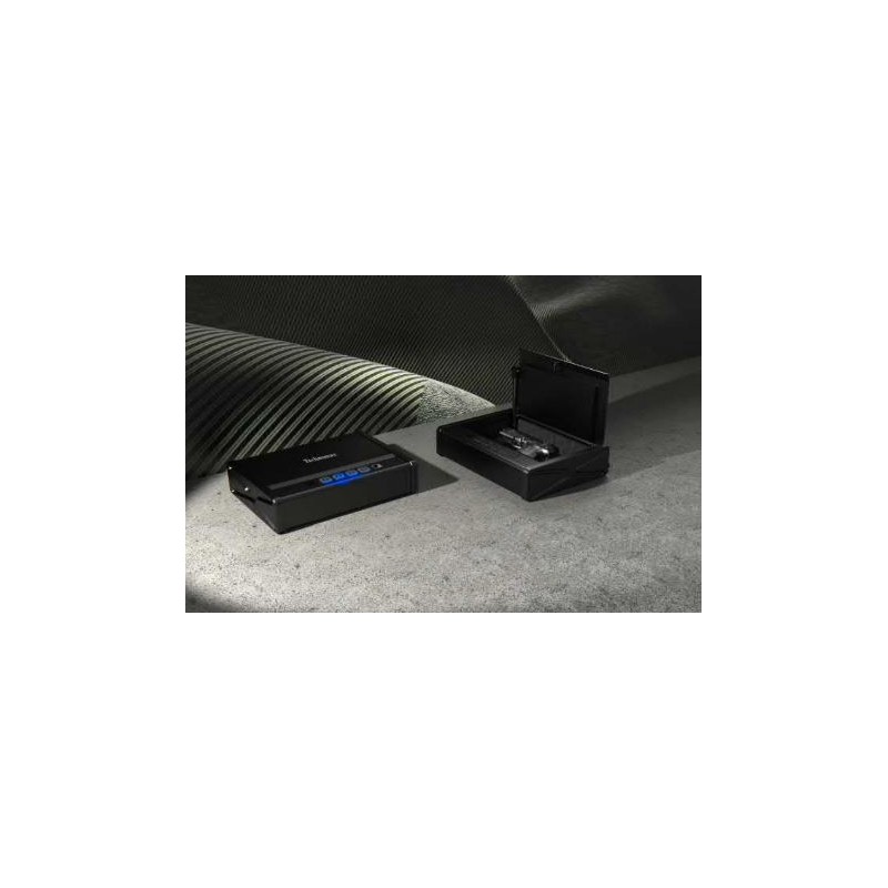 TECHNOMAX CASSETTA SICUREZZA PER PISTOLA CP-2E CON IMPRONTA DIGITALE