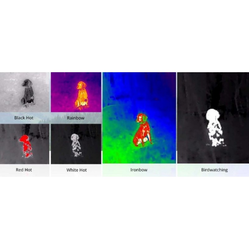 HIKMICRO TERMOCAMERA E20 PLUS PER SMARTPHONE
