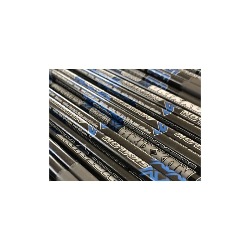 SKYLON ASTA IN CARBON BRIXXON