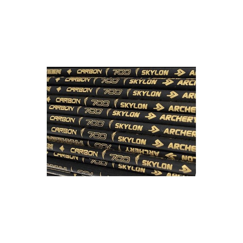 SKYLON ASTA PARAGON IN CARBONIO