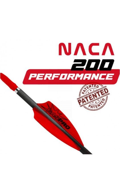 GAS PRO ALETTE NACA 200 PERFORMANCE