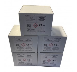 GECO RUAG INNESCHI LARGE RIFLE 5341 *Conf. da 100 pz* 