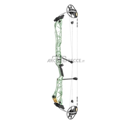 MATHEWS COMPOUND TITLE 38 G2 2025