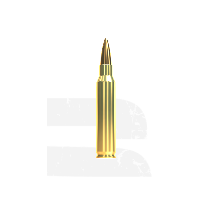 SELLIER & BELLOT CARTUCCE CAL 223REM HPBT 69grs *Conf. da 20pz* 