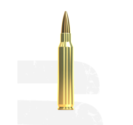 SELLIER & BELLOT CARTUCCE CAL 223REM HPBT 69grs *Conf. da 20pz* 