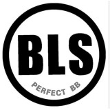 BLS-logo