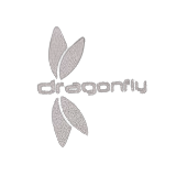 DRAGONFLY-logo